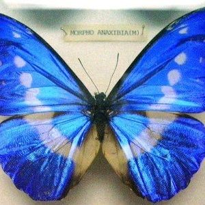 Meet your Posher, Cathy